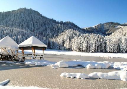 Dharamshala Taxi Service