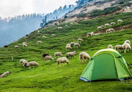Palampur Taxi Service