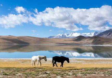 Leh Ladakh Explorer – Complete Himalayan Experience