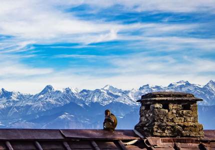 Dalhousie & Amritsar Journey – From Chandigarh