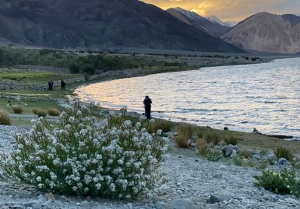 Leh Ladakh Explorer – Complete Himalayan Experience