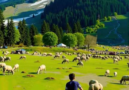 From Chandigarh to Jammu & Srinagar – Heritage & Hills Tour